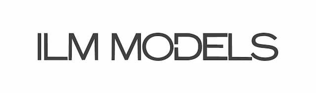 ilmmodels logo image